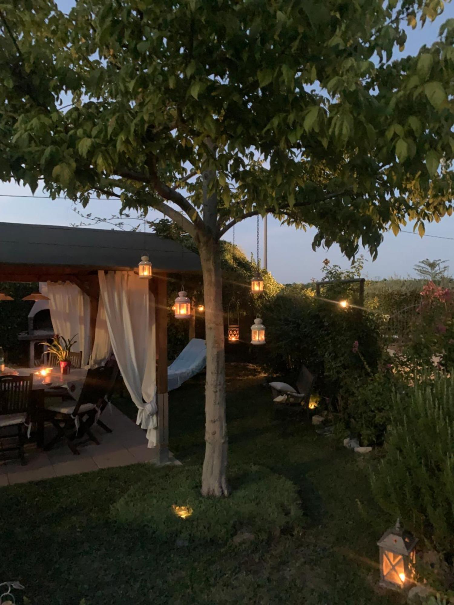 Massa Lombarda La Casa Di Biba Bed & Breakfast エクステリア 写真