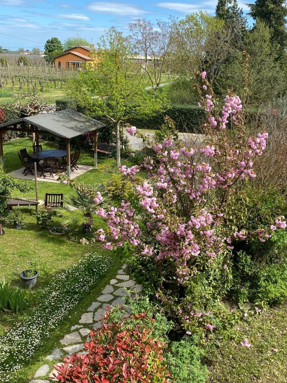 Massa Lombarda La Casa Di Biba Bed & Breakfast エクステリア 写真