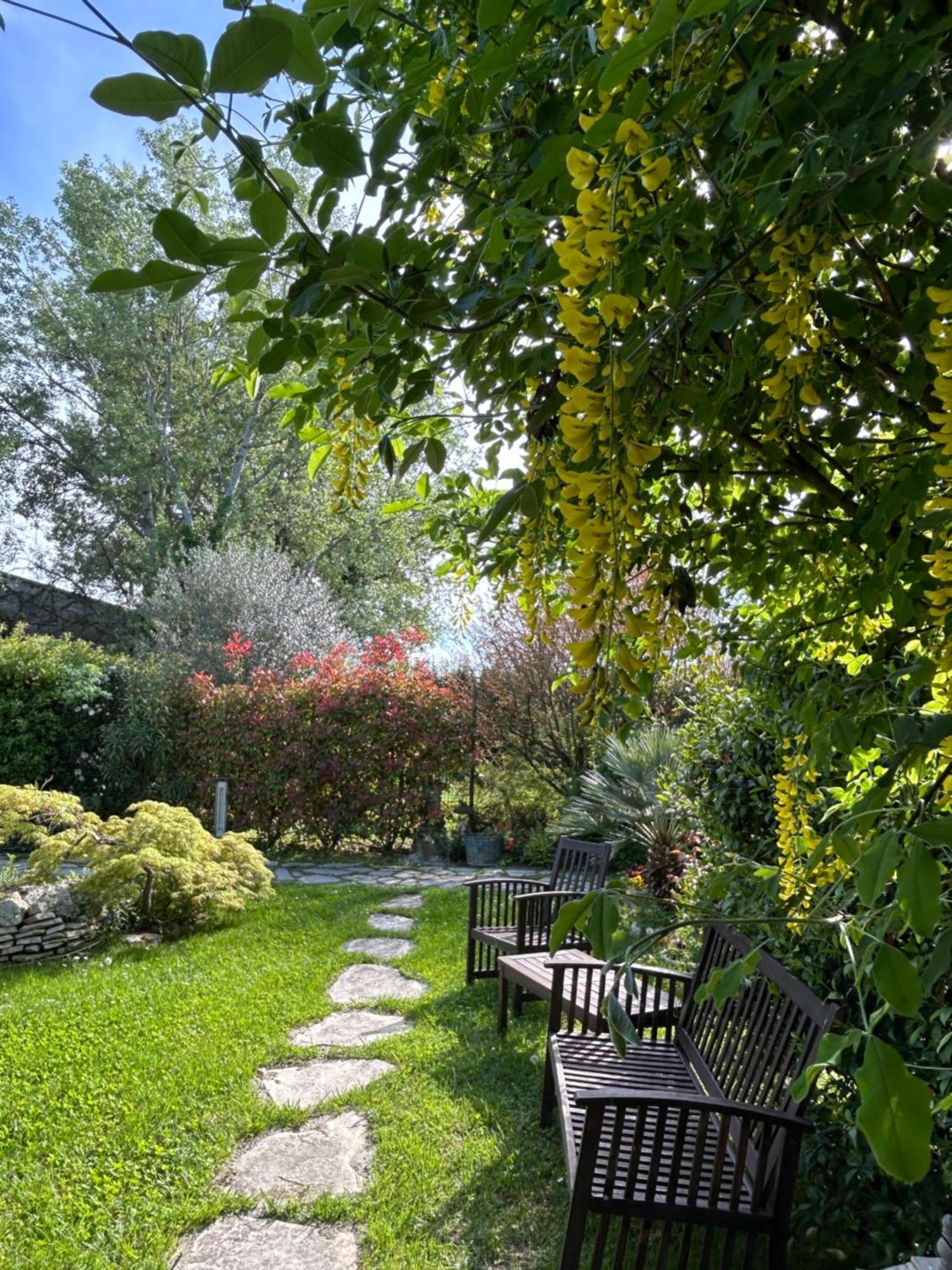 Massa Lombarda La Casa Di Biba Bed & Breakfast エクステリア 写真